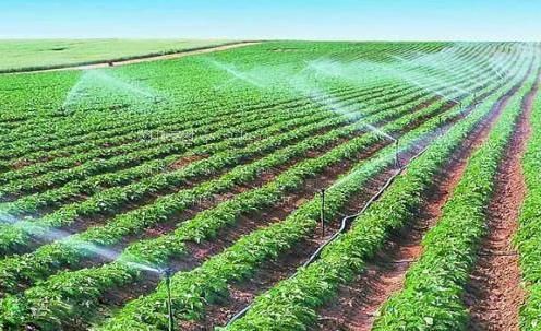 欧美插入农田高 效节水灌溉